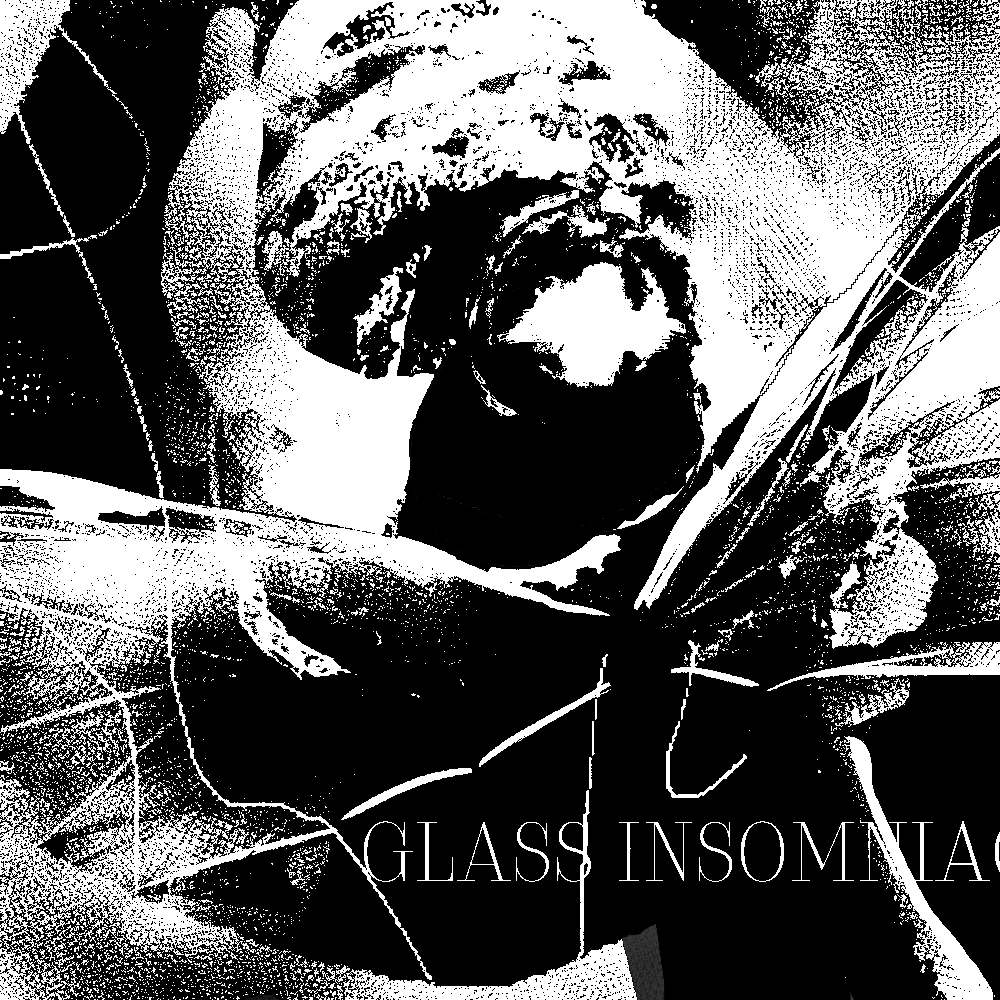 Glass Insomniac